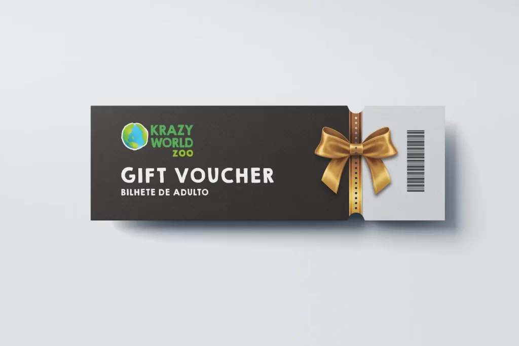 Gift Voucher